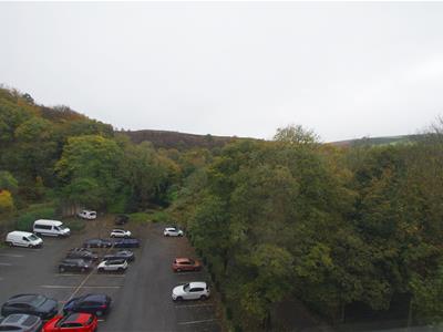 Picture 24